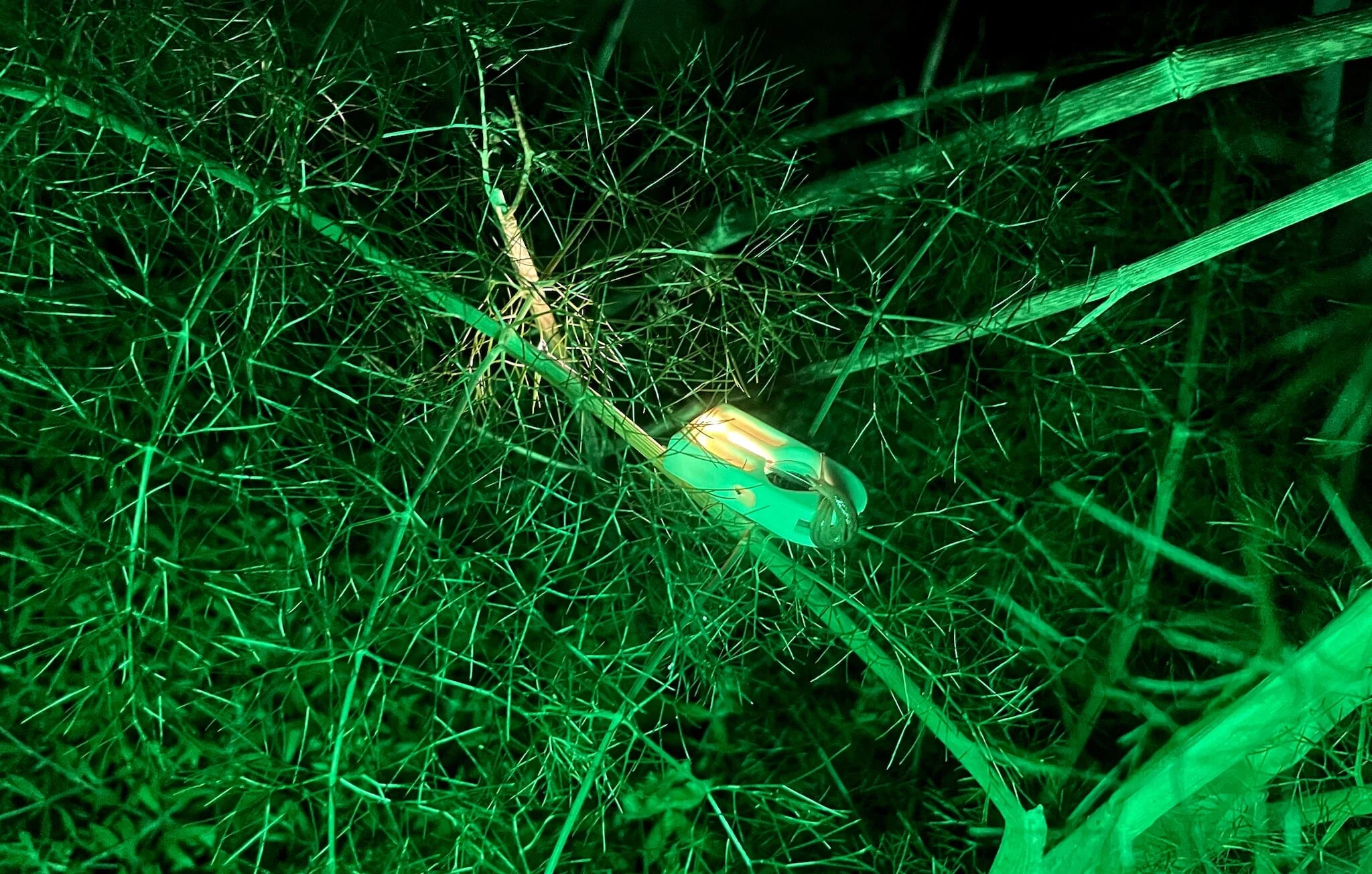 1P Flashlight - Image 6