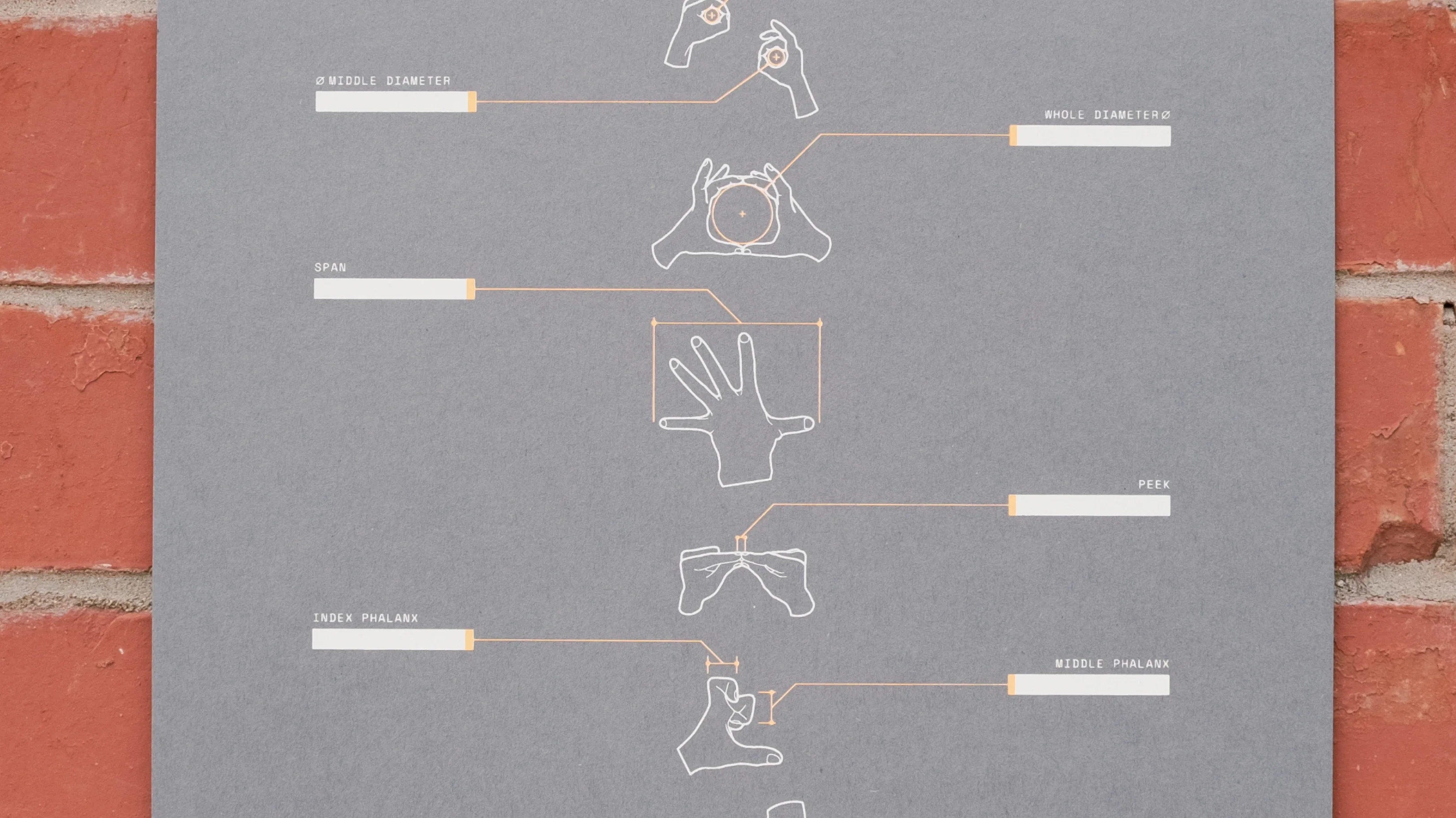 Personal Body Unit Index - Image 10